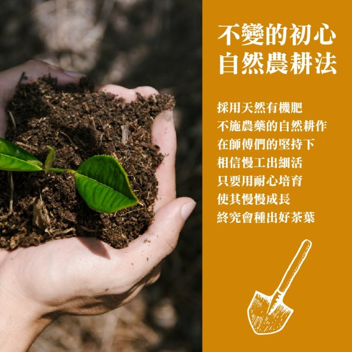 【名池茶業】甘逸飄香 梨山 烏龍茶 青茶 茶葉 台灣茶 高山茶 (150gx2罐) 贈同款提袋x1