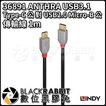 數位黑膠兔【 林帝 36891 ANTHRA USB3.1Type-C 公 對 USB2.0Micro-B 公 1m 】