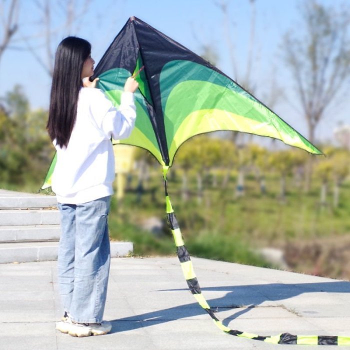 【熱賣精選】新款大草原2米風箏帶10米飄尾微風易飛風箏成人大型超大*特價