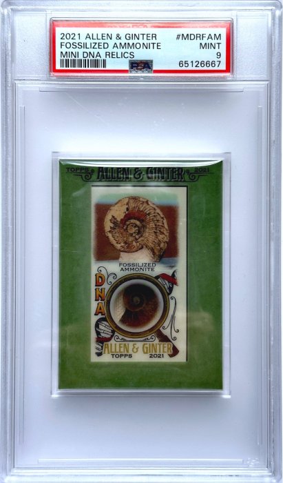 珍貴罕見～2021 TOPPS A&G DNA Relic 限量25張鸚鵡螺化石鑑定卡 PSA 9～