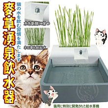 【🐱🐶培菓寵物48H出貨🐰🐹】Pioneer Pet》D174麥草湧泉貓咪飲水器 特價580元