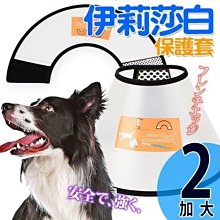 【🐱🐶培菓寵物48H出貨🐰🐹】DYY》伊莉莎白《防咬》寵物防護保護套2號加大44-49cm 特價229元限宅配蝦