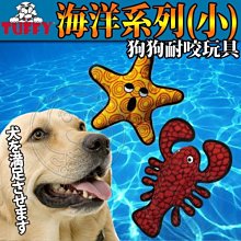 【🐱🐶培菓寵物48H出貨🐰🐹】美國TUFFY》狗狗耐咬玩具海洋系列(小)  特價410元