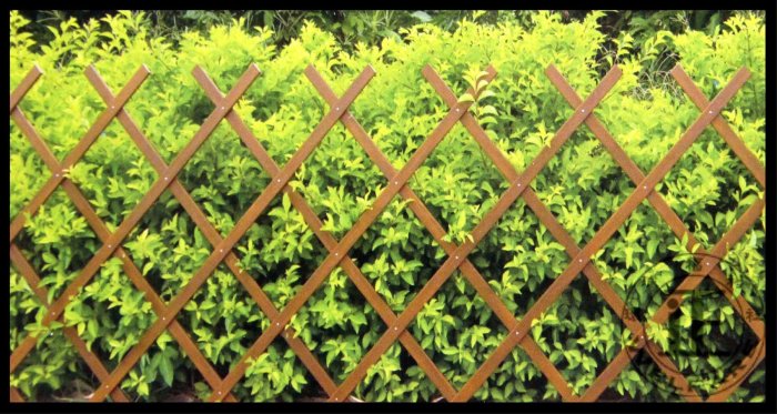 環球ⓐ園藝資材☞塑膠伸縮圍籬 花架 花盆 籬笆 圍籬 圍籬 柵欄 園藝造景居家佈置庭園造景