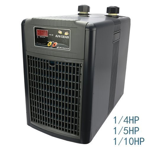 小郭水族- DAEIL 阿提卡【極靜音 冷水機 1/5 HP】冷卻機 降溫 公司貨 一年保固 宗洋