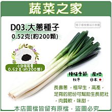 【蔬菜之家滿額免運】D03.大蔥種子0.52克(約200顆)(長壽蔥 ，極早生，高產，足夠的肥份可幫助生長肥壯，肉質軟)