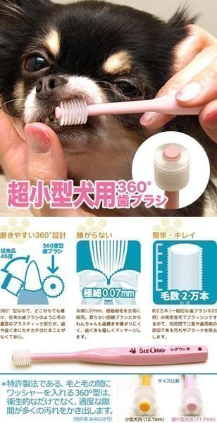 【JPGO】日本進口 sigone 寵物專用 360度牙刷 犬狗牙刷~超小型犬#353 小型犬#315