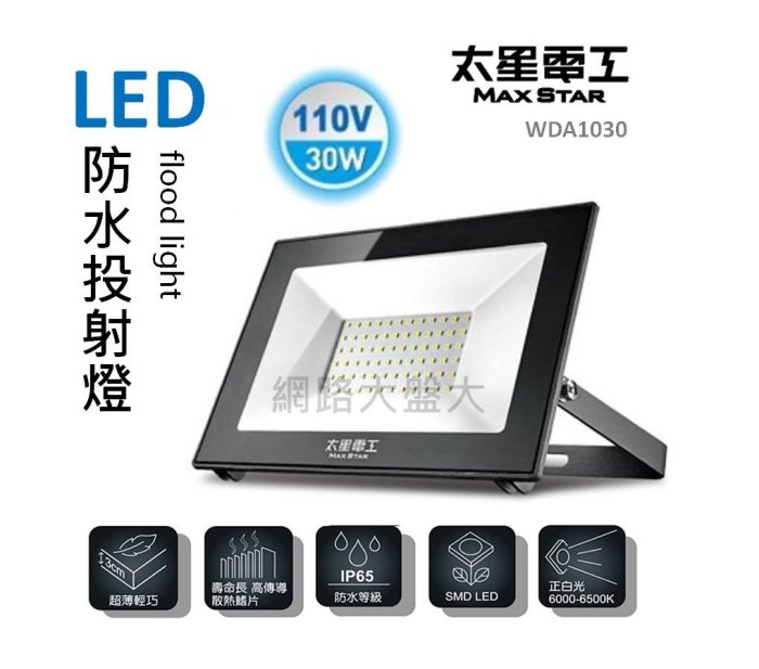 #網路大盤大# 太星電工 LED 白光 防水 投射燈 30W 110V IP65 探照燈 照明燈 室外燈 WDA1030