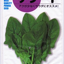 【野菜部屋~大包裝】A21 日本味美菠菜種子1磅原包裝 , 抗病性佳, 可當生菜沙拉食材 , 每包470元~