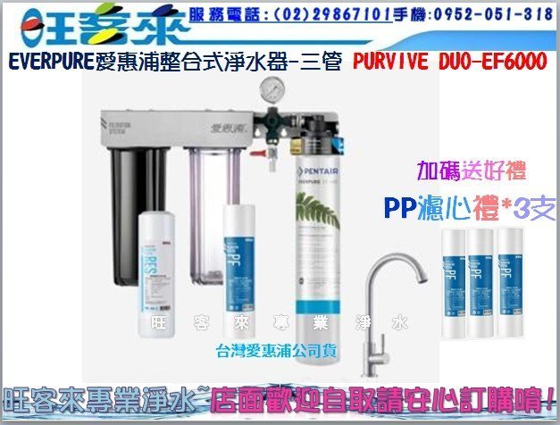 EVERPURE愛惠浦整合式淨水器-三管 PURVIVE DUO-EF6000 (公司貨)(附發票)含裝送PP濾心3支