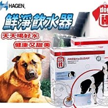 【🐱🐶培菓寵物48H出貨🐰🐹】(免運)HAGEN-91400》赫根鮮淨飲水器‧6L 特價1280元