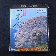 [藍光先生UHD] 日本的一本櫻 UHD 版