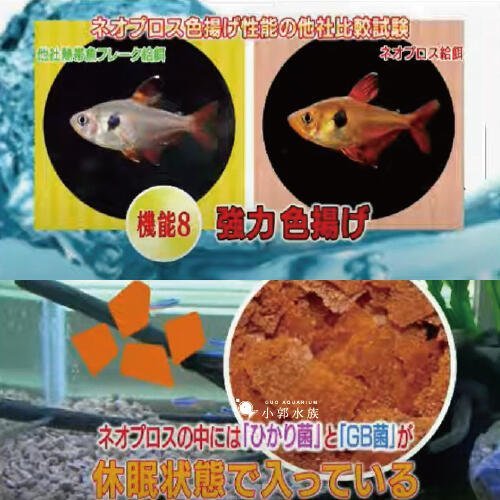 小郭水族-高夠力Hikari【熱帶魚低汙染高適口新薄片飼料50g】 孔雀魚 燈科魚熱帶魚