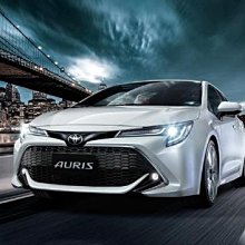 新店【阿勇的店】2019~ALTIS/RAV4/CAMRY/AURIS/CROSS 怠速上鎖/怠速解鎖+防搶 怠速開關鎖