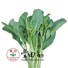 【野菜部屋~】E75 玉泉油菜心種子3.2公克 , 纖維少 , 味甜脆 , 每包15元 ~