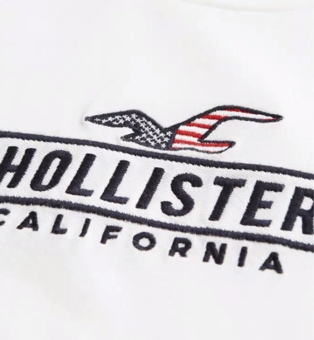 HCO Hollister 海鷗 車繡國旗海鷗logo 短袖 短T 白色 現貨