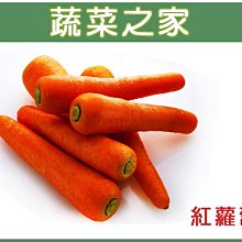 【蔬菜之家滿額免運】C01.紅蘿蔔(胡蘿蔔)種子5.2克(約3000顆)(日本進口黑田五吋.甜度高.適生鮮用)