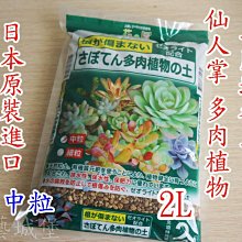 園藝城堡 花之屋 仙人掌多肉植物專用培養土 2l 日本原裝進口 Yahoo奇摩拍賣