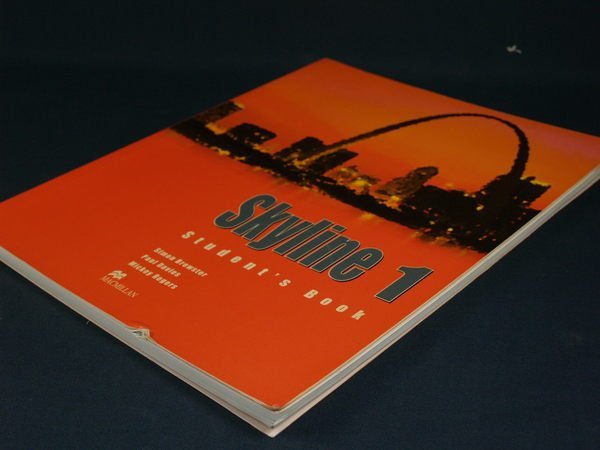 【懶得出門二手書】《Skyline 1》Palgrave Macmillan│Simon Brewster│七成新