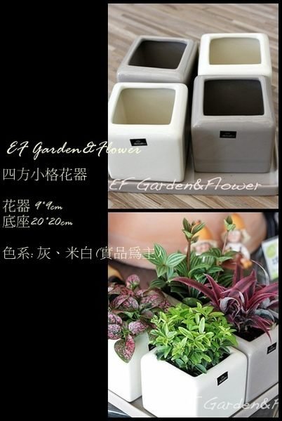 【EF Garden&Flower】四方格花器(多用途花器)