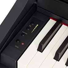 格律樂器 ROLAND RP102 電鋼琴 含琴架 進階數位鋼琴 (附原廠升降椅)