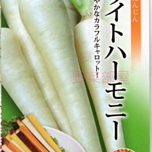 【野菜部屋~蔬菜種子】I30 日本雪白胡蘿蔔種子 1000 顆 ,日本原包裝 , 相當特別的品種 ~