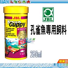 【魚店亂亂賣】JBL孔雀魚專用飼料250ml 增色成長含7%螺旋藻 小型魚 薄片 繁殖德國Novo Guppy