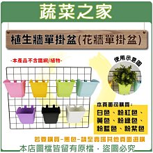 【蔬菜之家滿額免運005-B11】植生牆單掛盆(花牆單掛盆)共6色可選※不適用郵寄掛號配送※