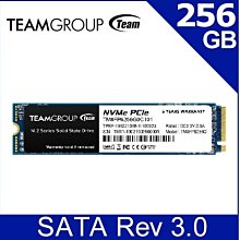 ~協明~ TEAM 十銓 MP33 256GB 512 M.2 PCIe SSD 固態硬碟 全新五年保固