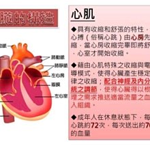 商品縮圖-5