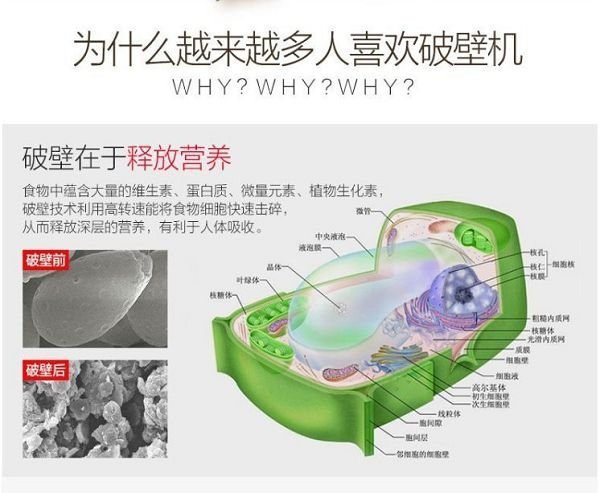 【保固一年 一個月內無條件更換】多蒙 破壁機 家用 料理機 榨汁機 多功能 嬰兒 水果 豆漿 攪拌機 六極鋼刀 沙冰機