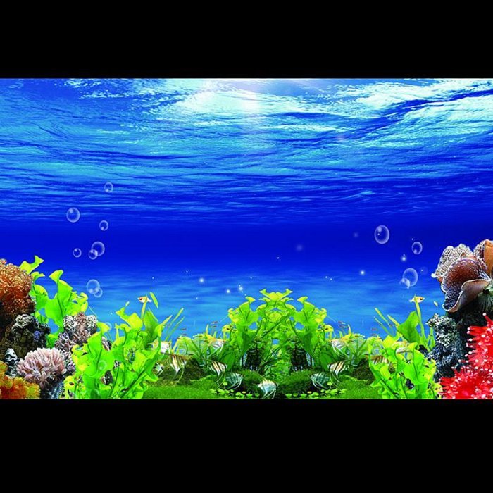 玻璃魚缸魚缸壁紙海底世界魚缸背景高清定制背景貼紙自粘高清圖畫壁紙水族水族箱