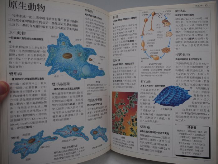 【月界二手書店】新世紀生物學習百科－精裝本（絕版）_大衛‧伯尼_貓頭鷹出版_原價680　〖科學〗AET