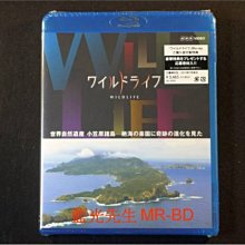 [藍光BD] - 世界自然遺產 : 小笠原諸島 絕海の樂園に奇跡の進化を見た