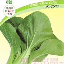 【野菜部屋~蔬菜種子】F25 日本四季青江菜種子3兩日本原罐(112.5公克) , 耐熱性強 , 採收快  ~