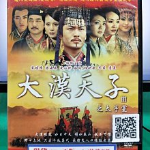 影音大批發-S03-004-正版DVD-大陸劇【大漢天子III之太子黨／共10片40集】-黃曉明 安以軒(直購價)