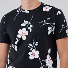 HCO Hollister 海鷗 花朵 短袖 T恤 黑色 現貨