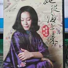 影音大批發-S378-正版DVD-台劇【他從海上來 全20集4碟】-劉若英 趙文瑄(直購價)