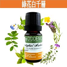 【綠花白千層純精油30ml】優質單方純精油系列《歐丹尼》Niaouli