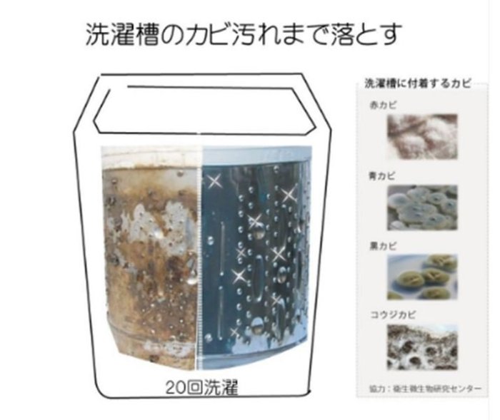 【依依的家】日本 Hotapa 貝殼 天然雙效洗衣錠兼洗衣槽清潔錠 40粒