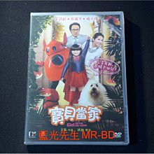 [DVD] - 寶貝當家 Girl of the big house