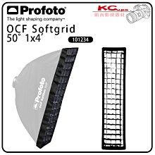 凱西影視器材 Profoto 保富圖 101234 OCF SOFTGRID 50° 1X4' 30X120公分 軟蜂巢