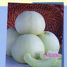 【野菜部屋~】R24 銀寶甜瓜種子8粒 , 東方甜瓜 , 耐濕 , 耐熱 甜度極高 , 每包15元~