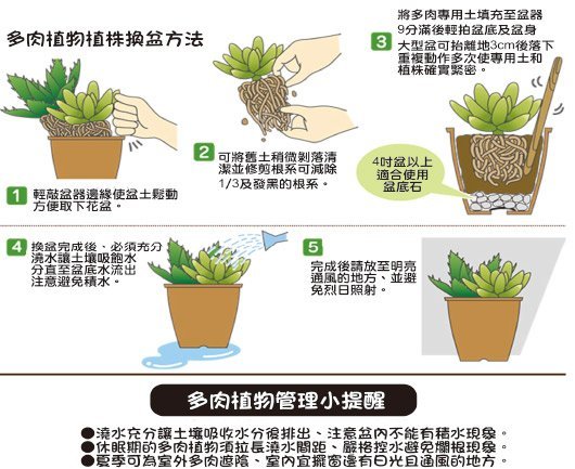 【全店限價免運】10公升多肉植物仙人掌金邊虎尾蘭專用土壤介質特價赤玉土日向石火山石岩蛭石竹炭【魔豆園】