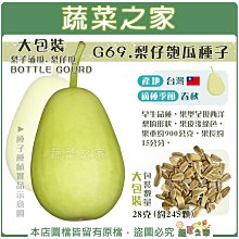 【蔬菜之家滿額免運】大包裝G69.梨仔匏瓜種子28克(約245顆) (梨子蒲瓜.梨仔瓜)  早生品種，果型呈現西洋梨的形狀，果皮淺綠色 ※不適用郵寄