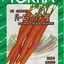 【野菜部屋~】I28 日本橙紅胡蘿蔔種子1000粒原包裝 , 相當特別的品種  ~