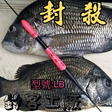 海釣標的價格推薦- 2024年4月