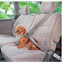 ◇帕比樂◇日本第一品牌IRIS兩用寵物汽車安全帶S號,同時可當做狗體工學胸背使用