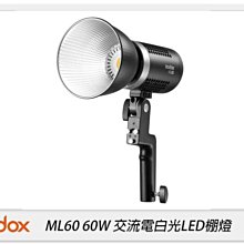 ☆閃新☆Godox 神牛 ML60 60W 白光 LED燈 攝影燈 棚燈 補光燈 神牛小卡口(公司貨)