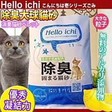 【🐱🐶培菓寵物48H出貨🐰🐹】國際貓家HelloIchi 》全新除臭配方抗帶砂大球貓砂10L 特價135元限宅配